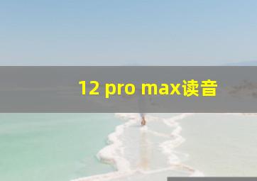 12 pro max读音